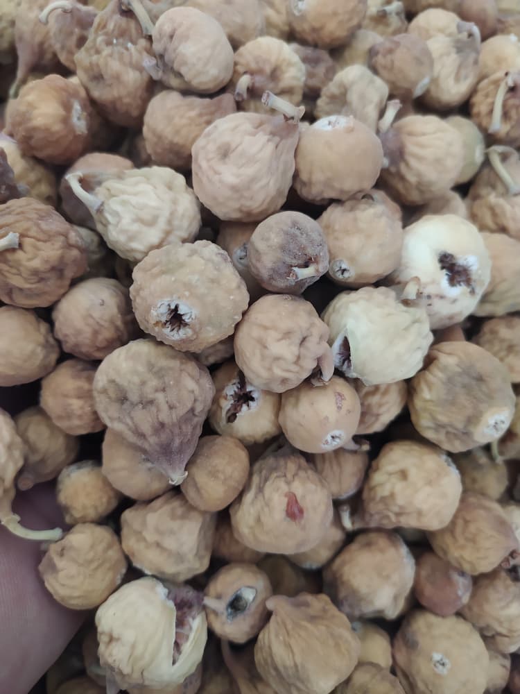 فروش ویژه انجیر خشک عمده سه آ